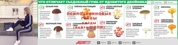 кокаин премиум Алексеевка