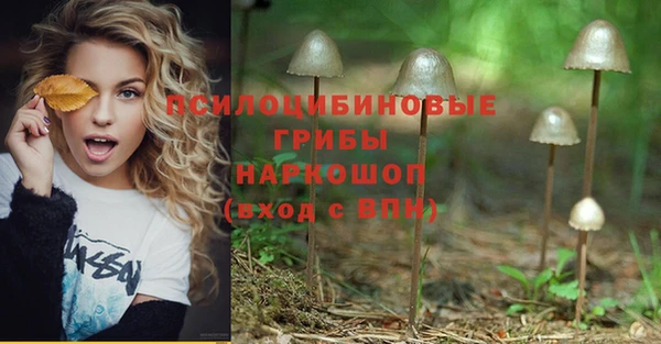 твердый Абинск
