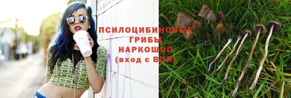 индика Алексин