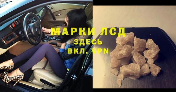 индика Алексин