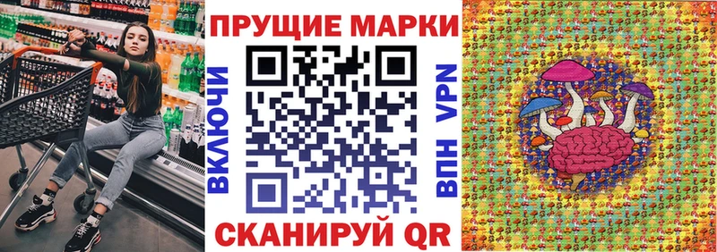 kraken вход  Кировград  Марки N-bome 1,5мг 