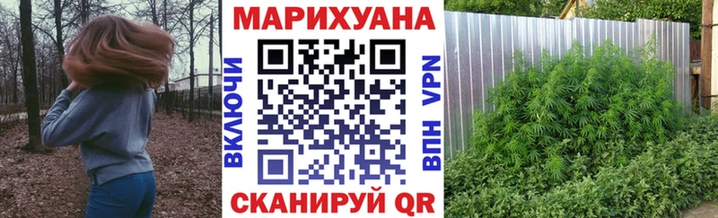 Канабис семена Кировград